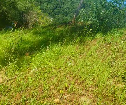 柳關(guān)欒盧鉛鋅礦|治理排土“瘡疤”，繪就綠色畫卷
